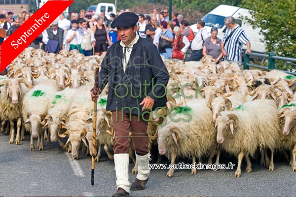 La fête des bergers en vallée de Barétous