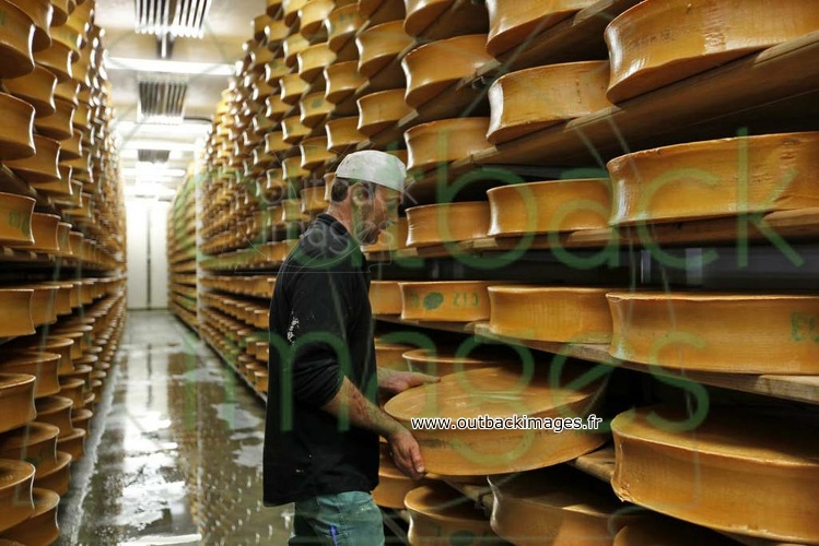 Fabrication du fromage Beaufort AOC en Haute-Maurienne Vanoise, Savoie